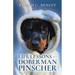 Life Lessons of a Doberman Pinscher