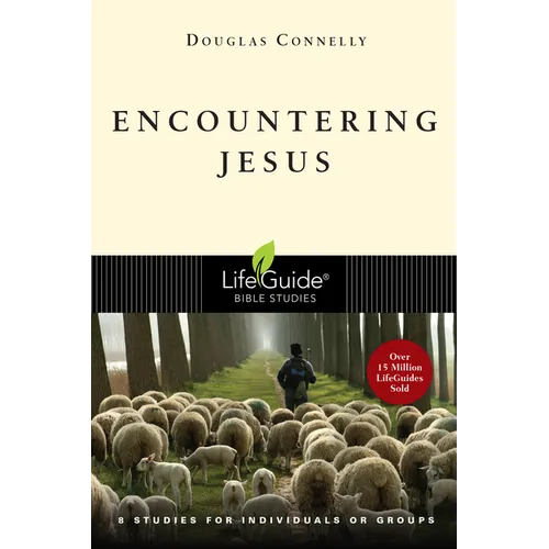 Encountering Jesus