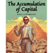 The Accumulation of Capital