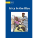 Mice In The Rice
