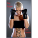 The Arena (A Catfight Novel)