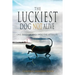 The Luckiest Dog Not Alive