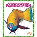 Parrotfish