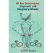 Of Boa Constrictors, Elephants and Imaginary Whales