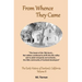 From Whence They Came