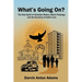 What's Going On?: The Holy Spirit in Christian History, Black Theology, and the Economy of God's Love