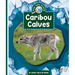 Caribou Calves