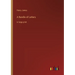 A Bundle of Letters: in large print