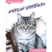 American Shorthairs
