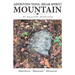 Adonvdo Yona (Bear Spirit) Mountain: An Ancestral Awakening