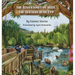 The Adventures of Jolly, the Alaskan Bear Cub: Discover Alaska's Katmai National Park, Brooks Falls, and the Famous Salmon Run with a Curious Bear Cub
