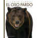 El Oso Pardo