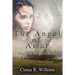 The Angel of Amar