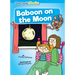 Baboon on the Moon