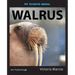 My Favorite Animal: Walrus