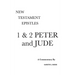 1 & 2 Peter and Jude: A Critical & Exegetical Commentary
