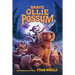 Brave Ollie Possum