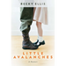 Little Avalanches: A Memoir