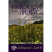 Through the Storm