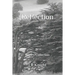 Reflection: Poetry Collection