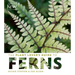 The Plant Lover's Guide to Ferns