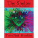 The Shelter: As Within, So Without