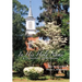In His Holy Name: A Collection of Sermons