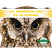 Los Asombrosos Ojos de Los Animales (Different Eyes of Animals)