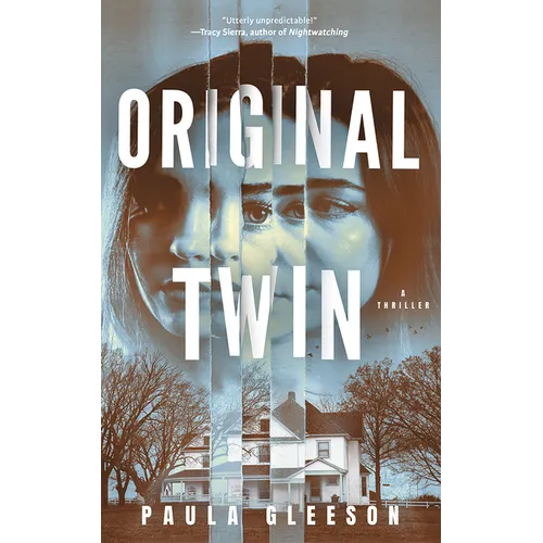 Original Twin: A Thriller