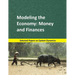 Modeling the Economy: Money and Finances: Selected papers on System Dynamics. A book written by experts for beginners