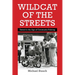 Wildcat of the Streets: Detroit in the Age of Community Policing