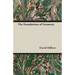The Foundations of Geometry