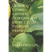 Growing Limes, Lemons, Oranges and Other Citrus Fruits At Home