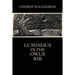 Luminous in the Owl's Rib