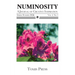 Numinosity: Spring/Summer 2026