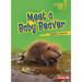 Meet a Baby Beaver