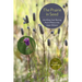 The Prairie in Seed: Identifying Seed-Bearing Prairie Plants in the Upper Midwest