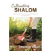 Cultivating Shalom: Finding peace in the midst of disruption, uncertainty and ordinary life