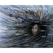 A Journey to the Mother of the Sea