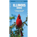 Illinois Birds: An Introduction to Familiar Species