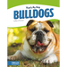Bulldogs