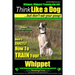 Whippet, Whippet Training AAA AKC: Think Like a Dog, but Don't Eat Your Poop! Whippet Breed Expert Training: Here's EXACTLY How to Train Your Whippet