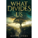 What Divides Us