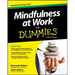 Mindfulness at Work For Dummies