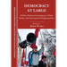 Democracy at Large: NGOs, Political Foundations, Think Tanks and International Organizations