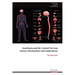 Anesthesia and the Central Nervous System: Mechanisms and Implications