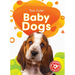Baby Dogs