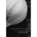 The Secret of Hoa Sen