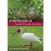 Attracting Birds to South Florida Gardens