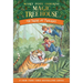 Tigers at Twilight